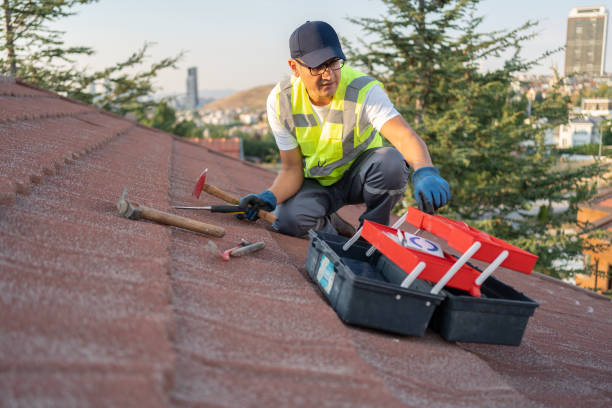 Storm Damage Siding Repair in Umatilla, FL